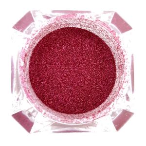 Fairy Dust Fuchsia