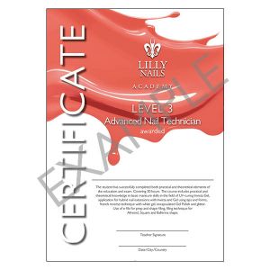 Certifikat Level 3 - Advanced